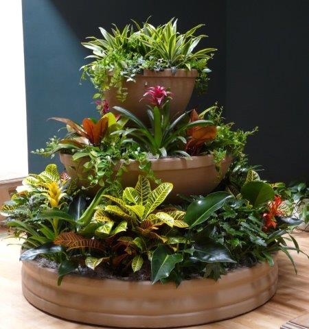 plants on large tiered plant holder