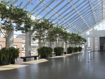 plants in lobby
