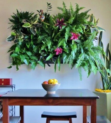 plants above table