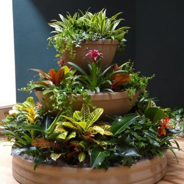 plants on large tiered plant holder