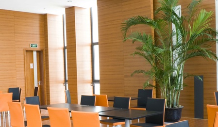 plants in conference room