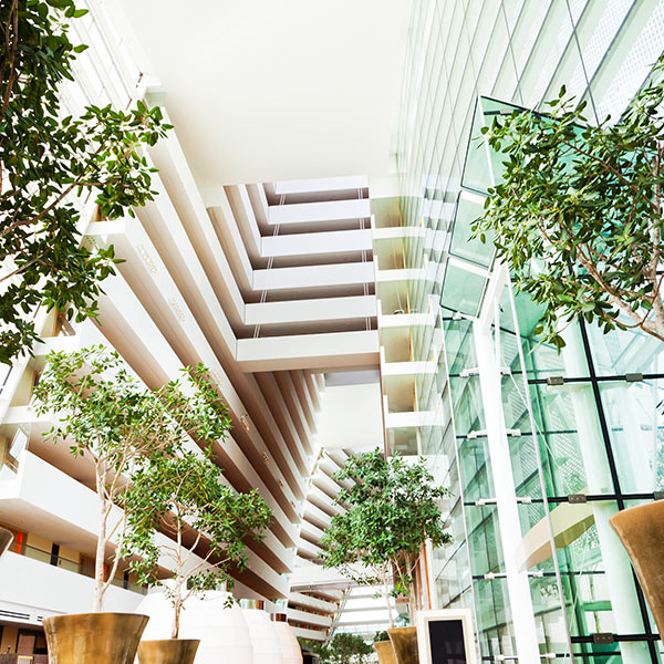 plants around building